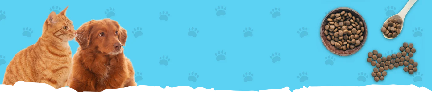 dfgdfg