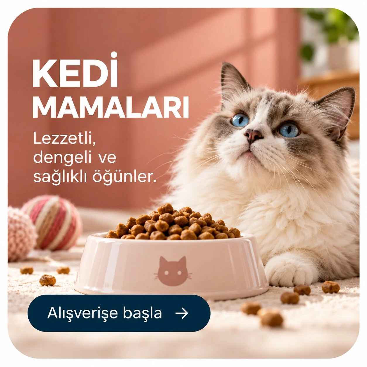 Kedi Maması