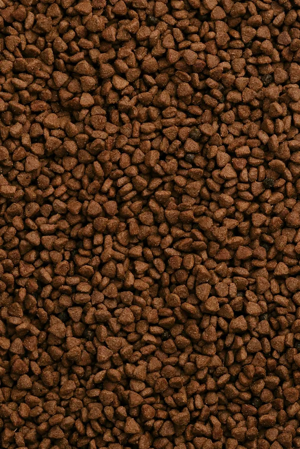 Tahılsız Köpek Maması Somonlu 6 kg