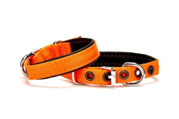 Softlu Köpek Boyun Tasması 1,5 cm x 35 cm Tcu