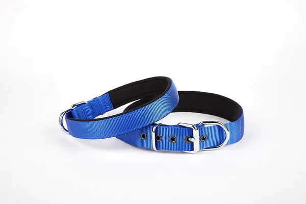 Softlu Köpek Boyun Tasması 3 cm x 55 cm Mi