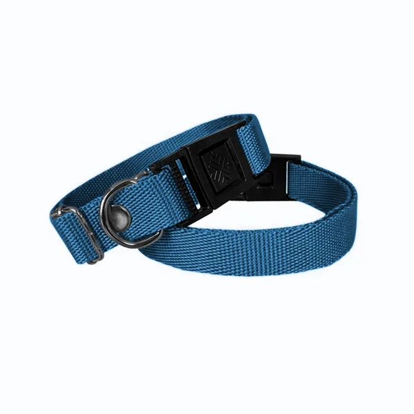 Köpek Tasması Dokuma 2 cm - Min: 30 cm - Max: 50 cm Mi