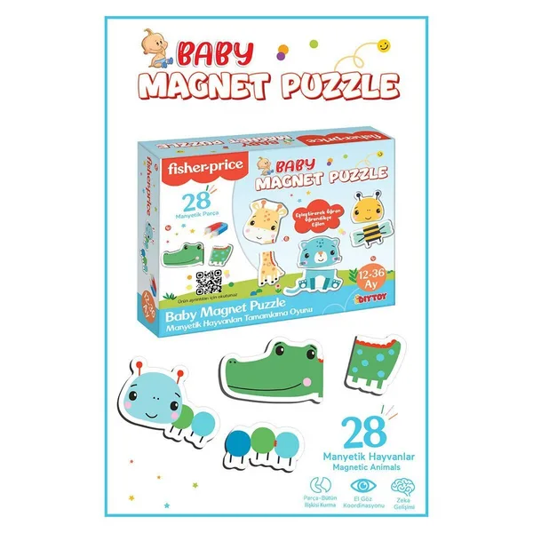 Fp2939  Magnet Puzzle