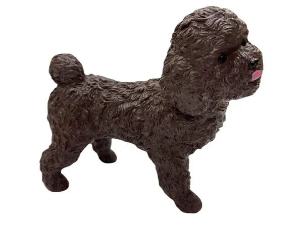 Köpekler - Poodle Cinsi Köpek  - 1 ADET