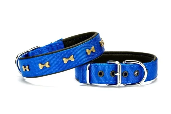 Kemik Metal Süslü Köpek Tasması 3*55 cm Medium Mi