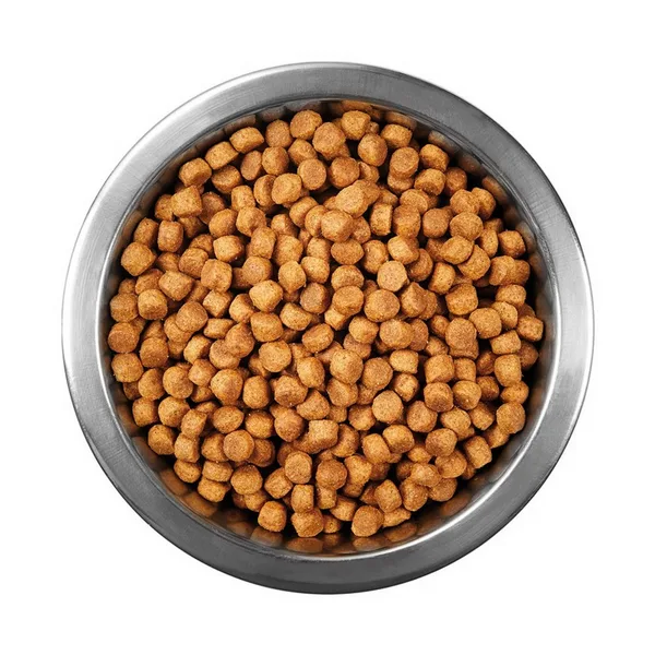 Tuklu Yetişkin Kedi sı 1 kg