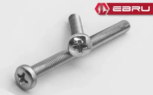 Ebru Yuvarlak Yıldız Başlı YSB Civata M5x60 - 10 Adet