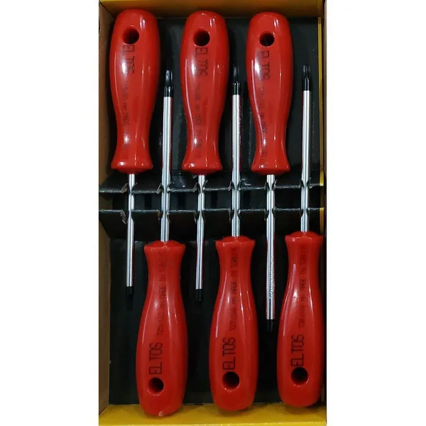 Torx Tornida Seti 6 Parça