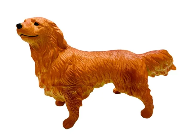 Köpekler - Collie Cinsi Köpek  - 1 ADET