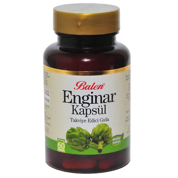 Enginar 60