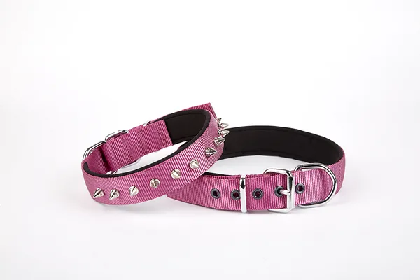Çivi Desenli Köpek Tasması 2,5*60 cm Mor