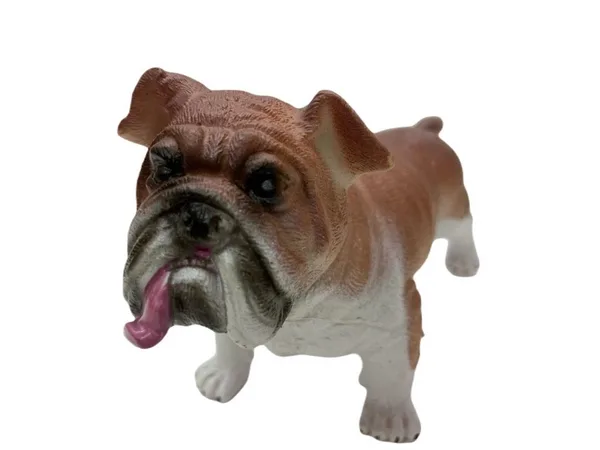 Köpekler - Amerikan Bulldog Cinsi Köpek  - 1 ADET