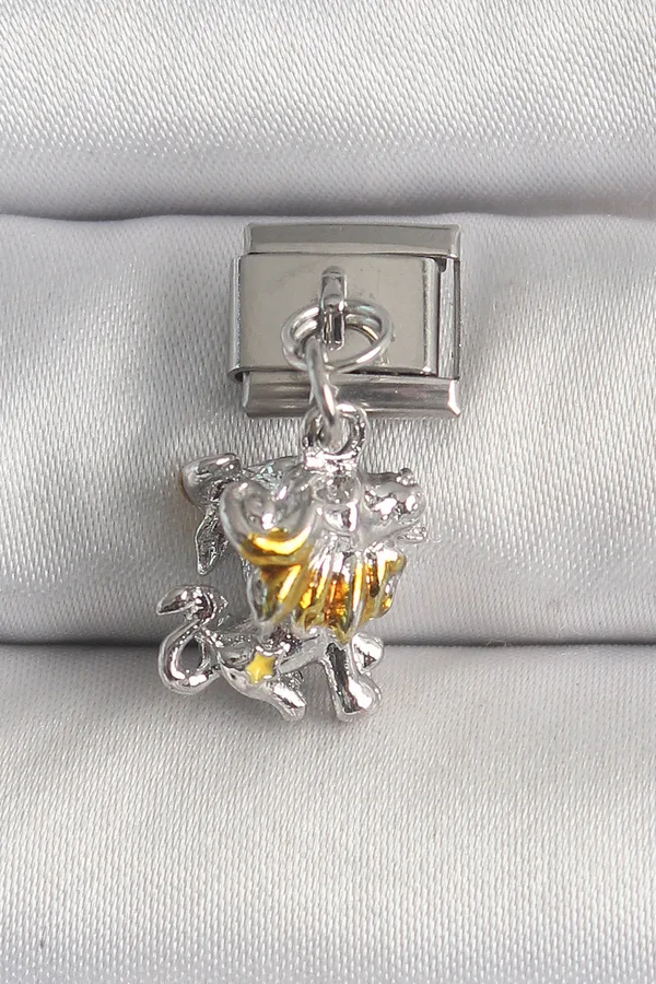 316L Çelik Gümüş Renk Sallantı Aslan Model Nomination Charm