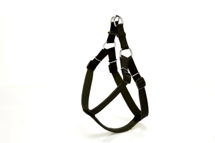 Köpek Bel Tasması 95cm XX-Large Siyah