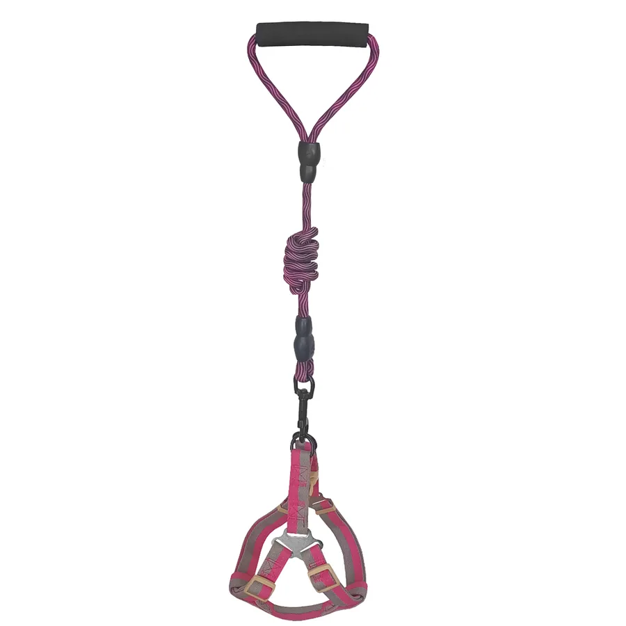 Köpek Göğüs Tasma Seti Daa Desenli 2 cm*40-58 cm Mor-Pembe