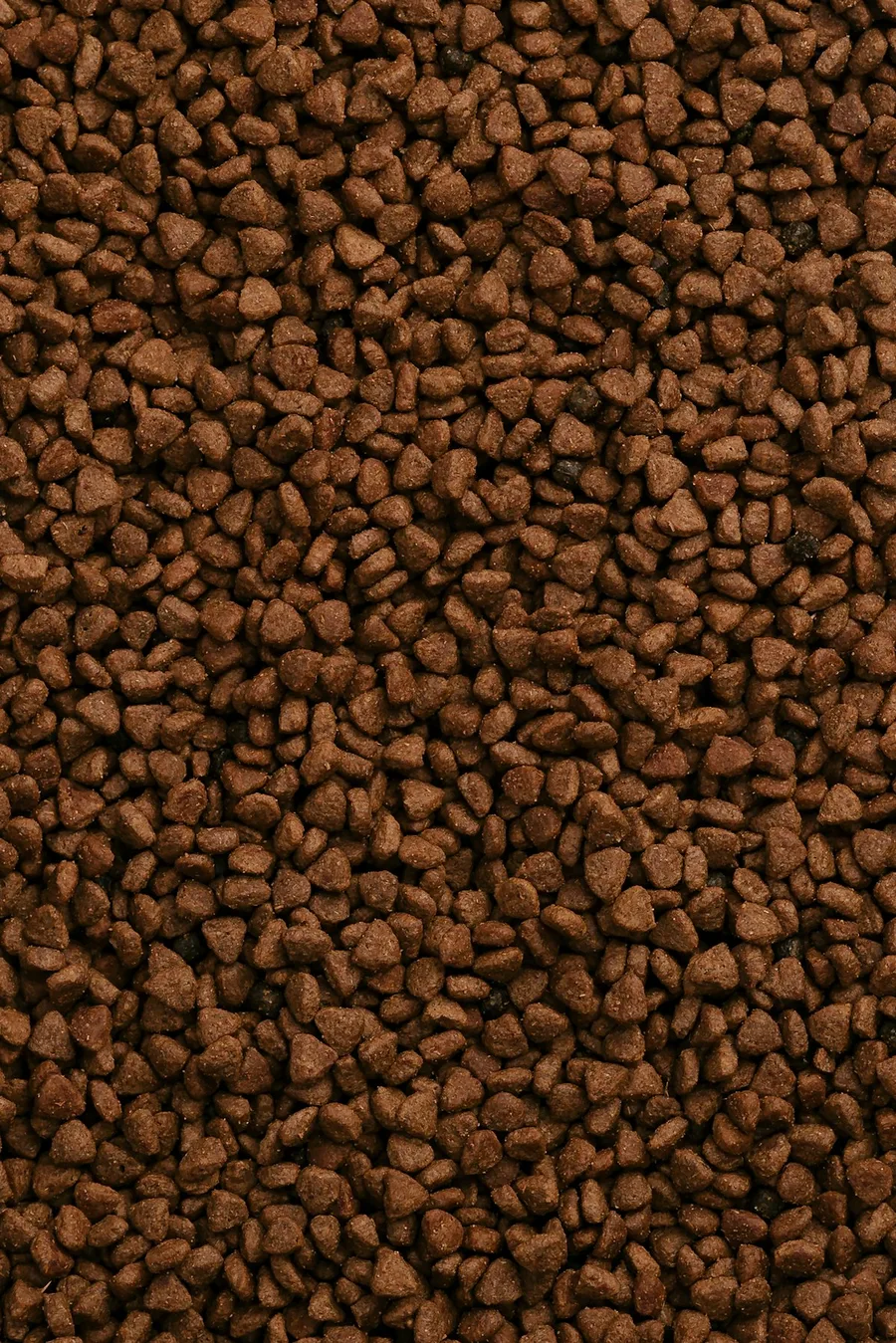 Tahılsız Köpek Maması Somonlu 6 kg