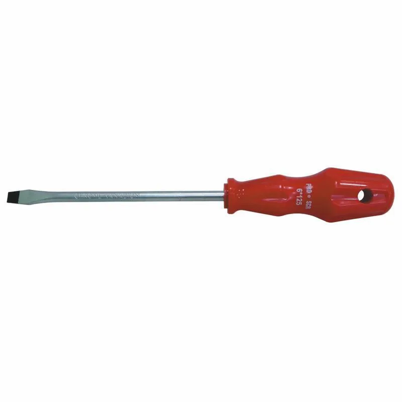 Pro-Scr 02625 Düz Uçlu Tornida 6X100 mm