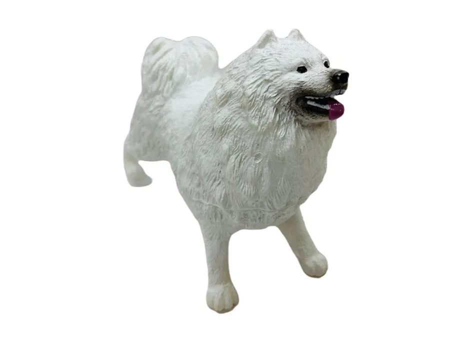 Köpekler - Samoyed Cinsi Köpek   - 1 ADET