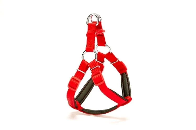 Köpek Göğüs Tasması 35cm XSmall