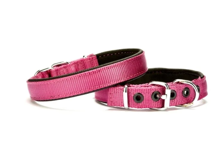 Dokuma Softlu Köpek Boyun Tasması 2 cm x 45 cm Mor