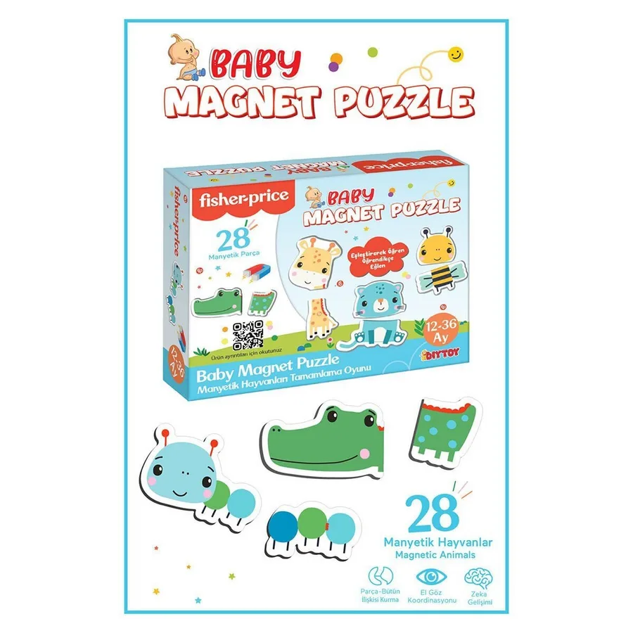 Fp2939  Magnet Puzzle
