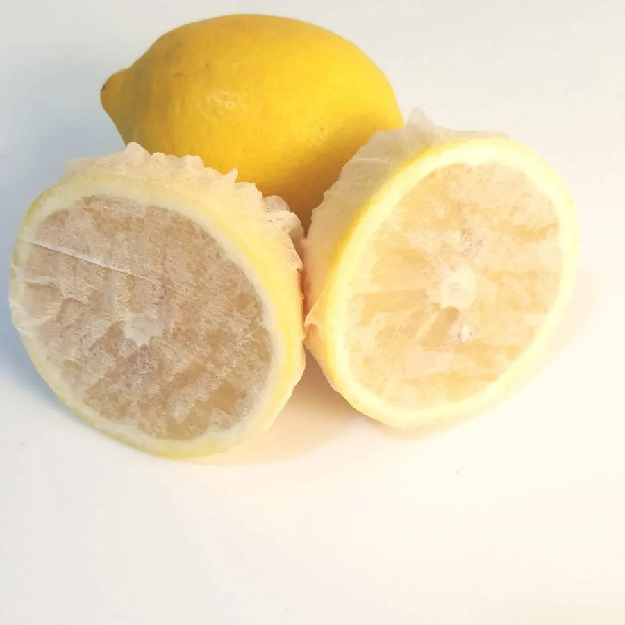 Limon Bonesi / 250 Adet /  Çayı Bonesi