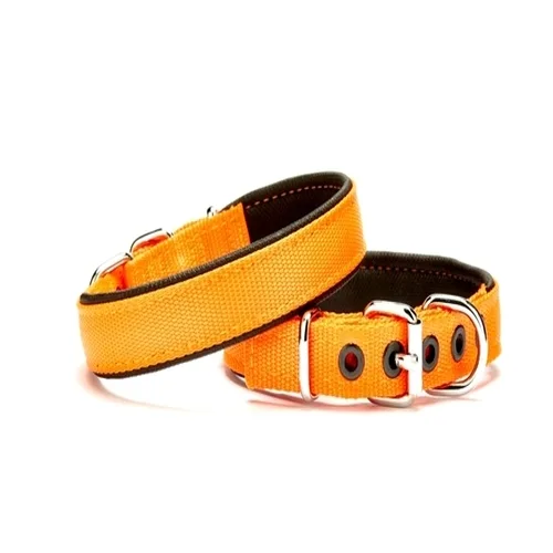 Softlu Köpek Boyun Tasması 2 cm x 40 cm Tcu